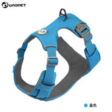 Reflective Dog Harness or Lead