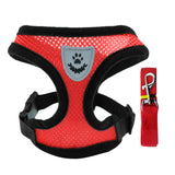 Adjustable Small Dog Harness and Lead Set