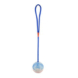 Rubber Ball on Rope Dog Toy