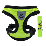 Adjustable Small Dog Harness and Lead Set