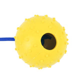 Rubber Ball on Rope Dog Toy