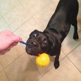 Rubber Ball on Rope Dog Toy