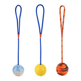 Rubber Ball on Rope Dog Toy