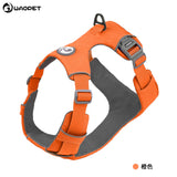 Reflective Dog Harness or Lead