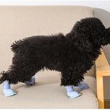 Water-Resistant Dog Boots, Set of Four