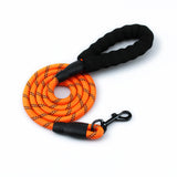 Reflective Nylon Dog Lead