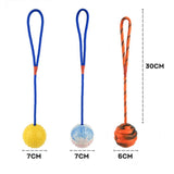 Rubber Ball on Rope Dog Toy