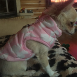 Padded Dog Vest for Cool Weather