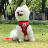 Adjustable Small Dog Harness and Lead Set
