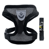 Adjustable Small Dog Harness and Lead Set
