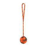 Rubber Ball on Rope Dog Toy