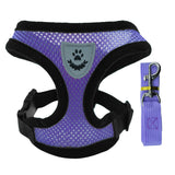 Adjustable Small Dog Harness and Lead Set