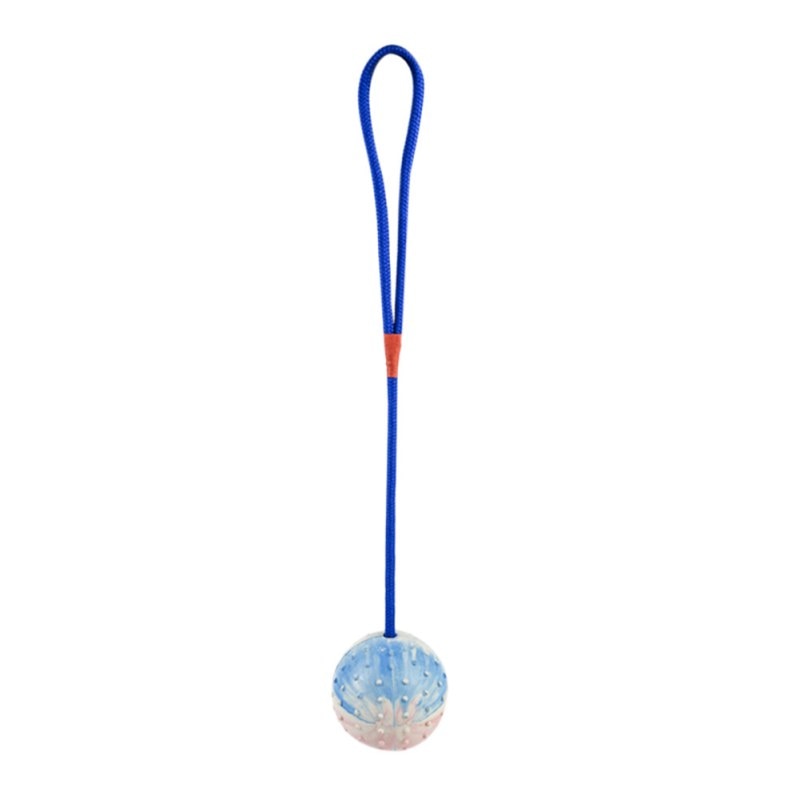 Rubber Ball on Rope Dog Toy