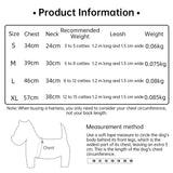 Adjustable Small Dog Harness and Lead Set