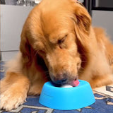 Non-Slip Dog Lick Bowl