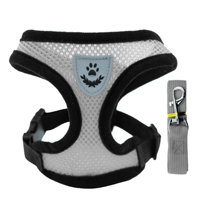 Adjustable Small Dog Harness and Lead Set