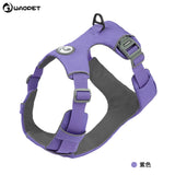 Reflective Dog Harness or Lead