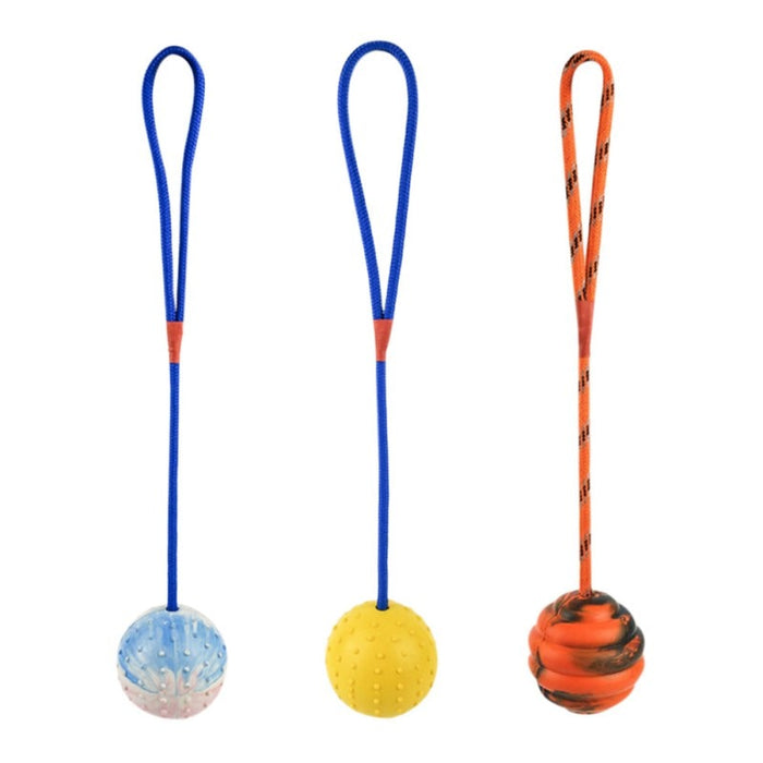 Rubber Ball on Rope Dog Toy