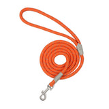 Reflective Dog Harness or Lead