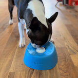 Non-Slip Dog Lick Bowl
