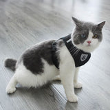 Adjustable Small Dog Harness and Lead Set
