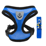 Adjustable Small Dog Harness and Lead Set