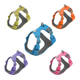 Reflective Dog Harness or Lead