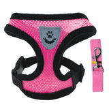 Adjustable Small Dog Harness and Lead Set