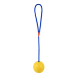 Rubber Ball on Rope Dog Toy