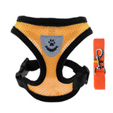 Adjustable Small Dog Harness and Lead Set