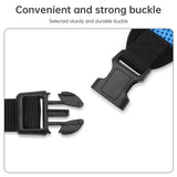 Adjustable Small Dog Harness and Lead Set