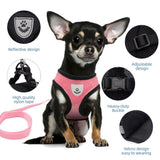 Adjustable Small Dog Harness and Lead Set