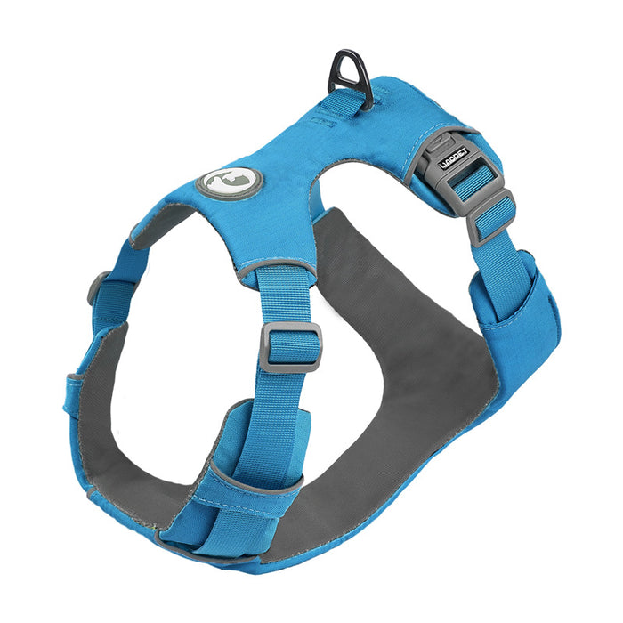 Reflective Dog Harness or Lead