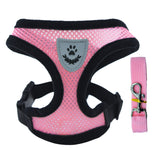 Adjustable Small Dog Harness and Lead Set